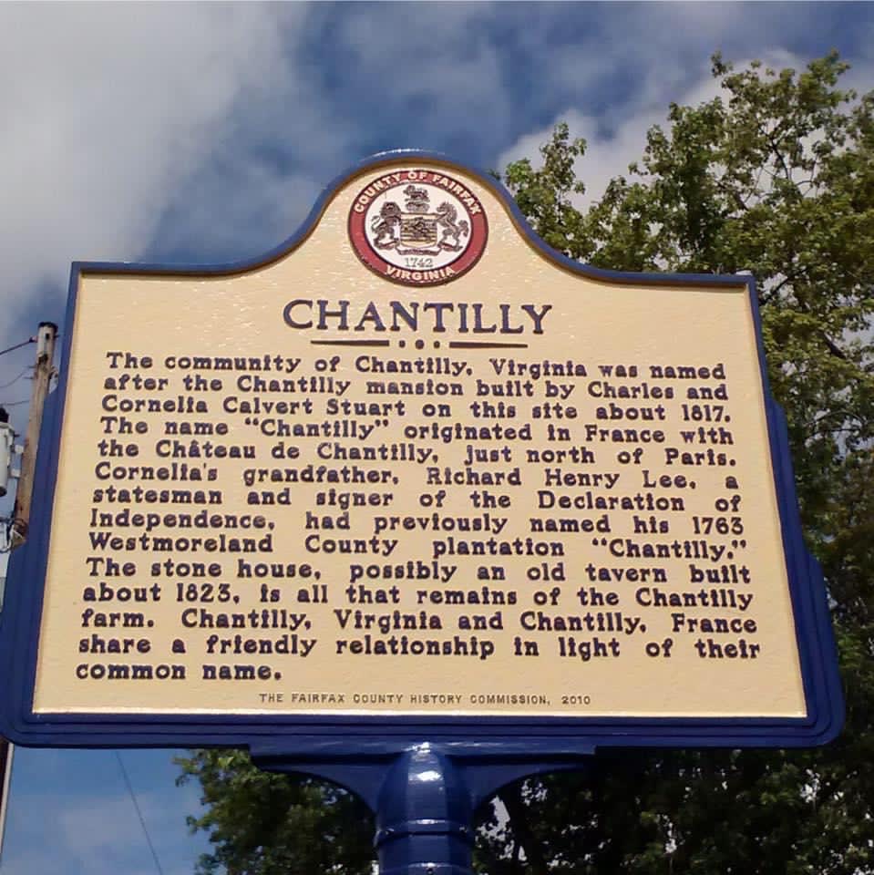 a blue and white sign sitting in front of a tree